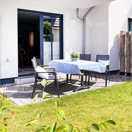 Duene 7 Sandduene Zingst